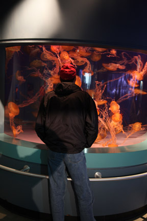 AquarOfPacific - Feb 6, 2010