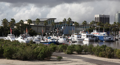 AquarOfPacific - Feb 6, 2010