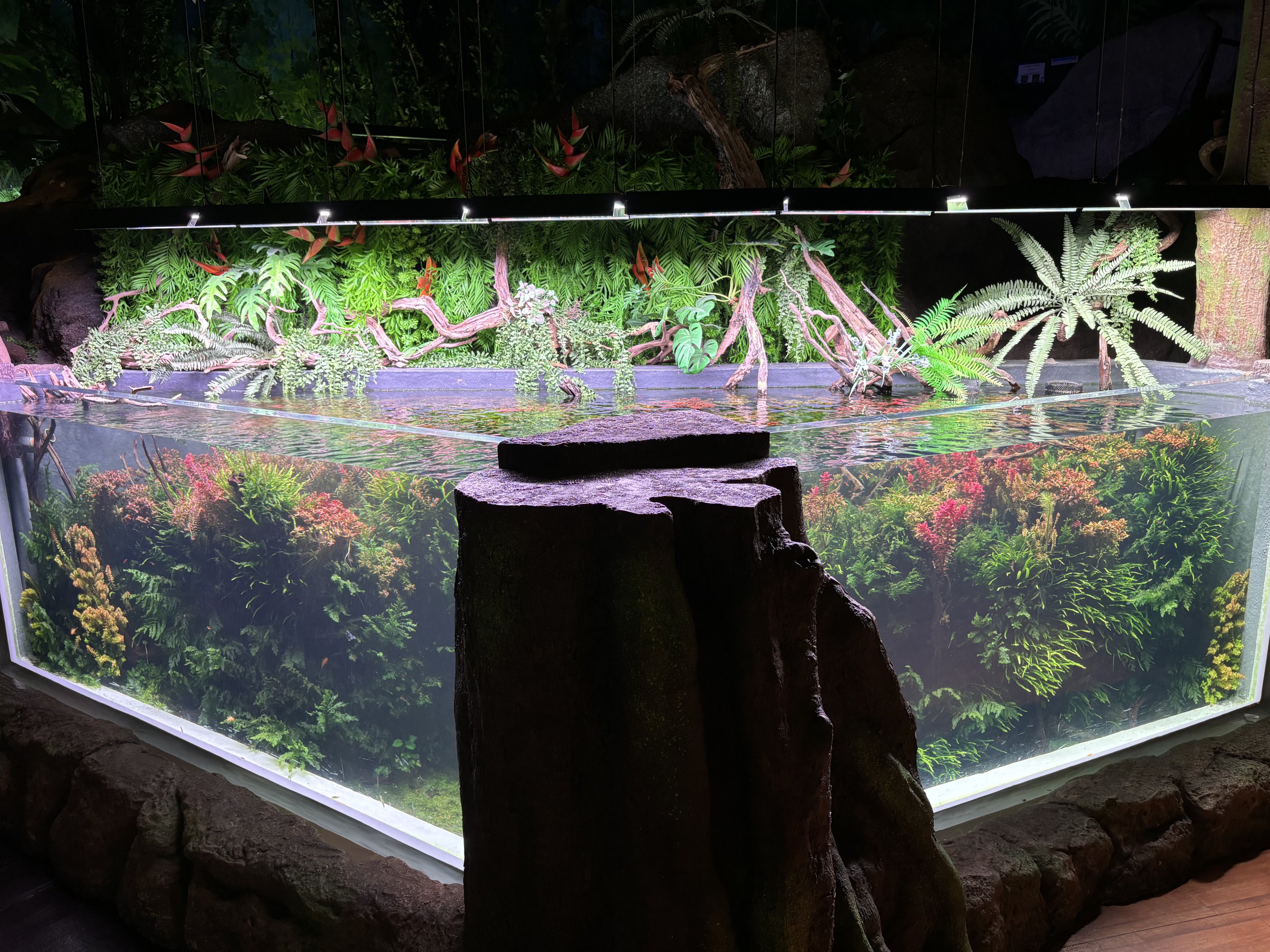 Aquascape Exhibit