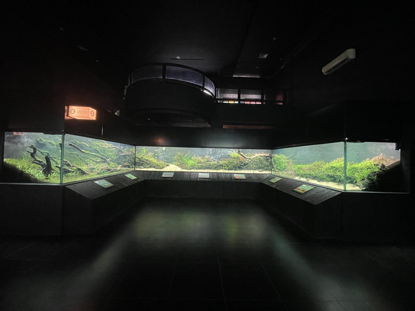 aquascape tank - dunia air tawar