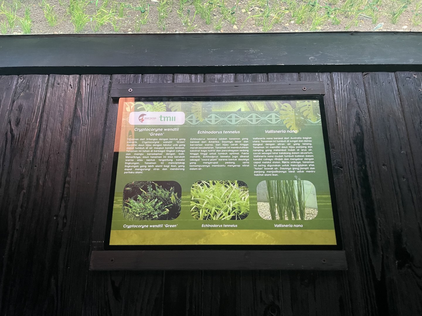 aquascape tank signage (1) - dunia air tawar