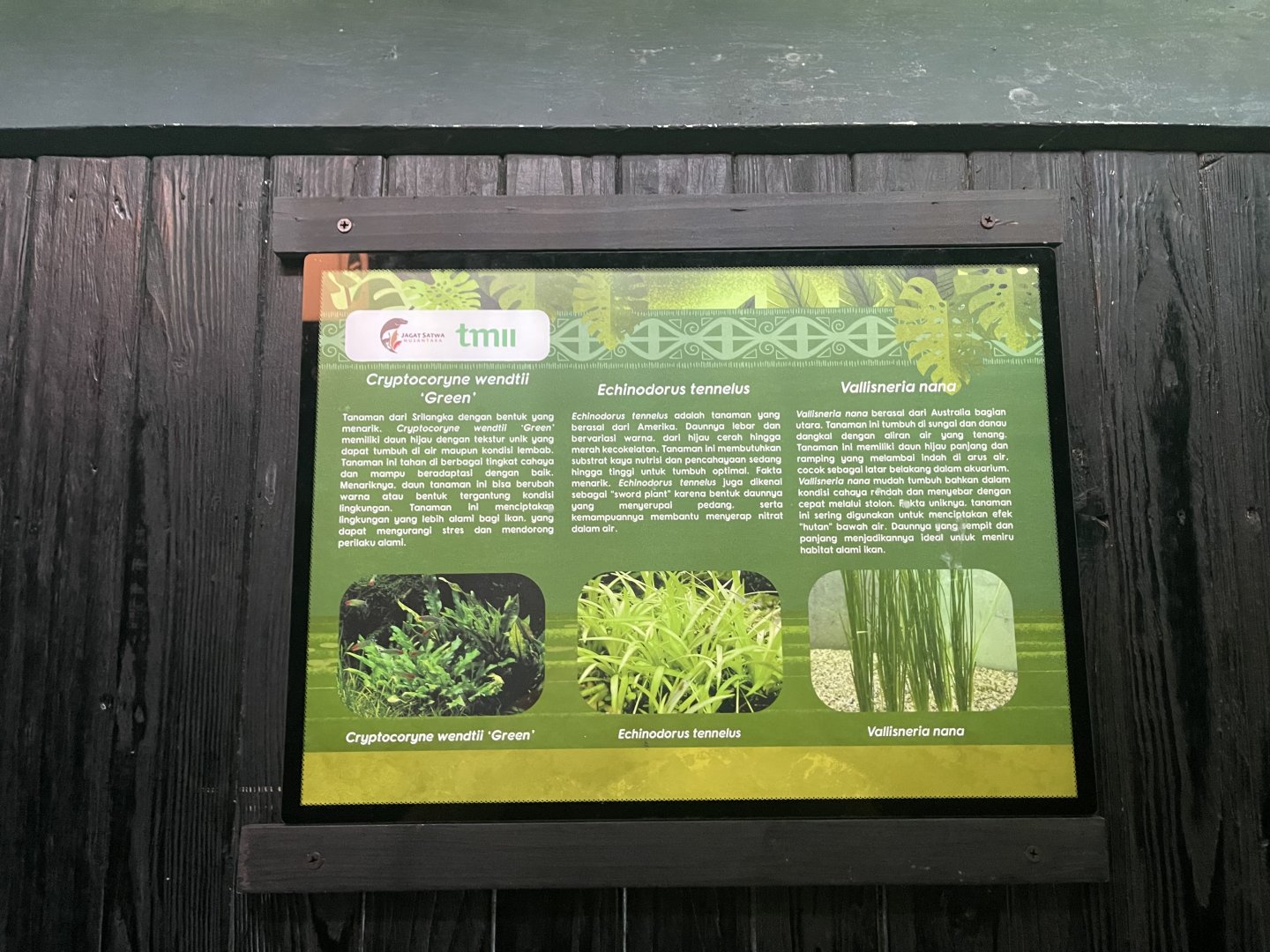 aquascape tank signage (2) - dunia air tawar