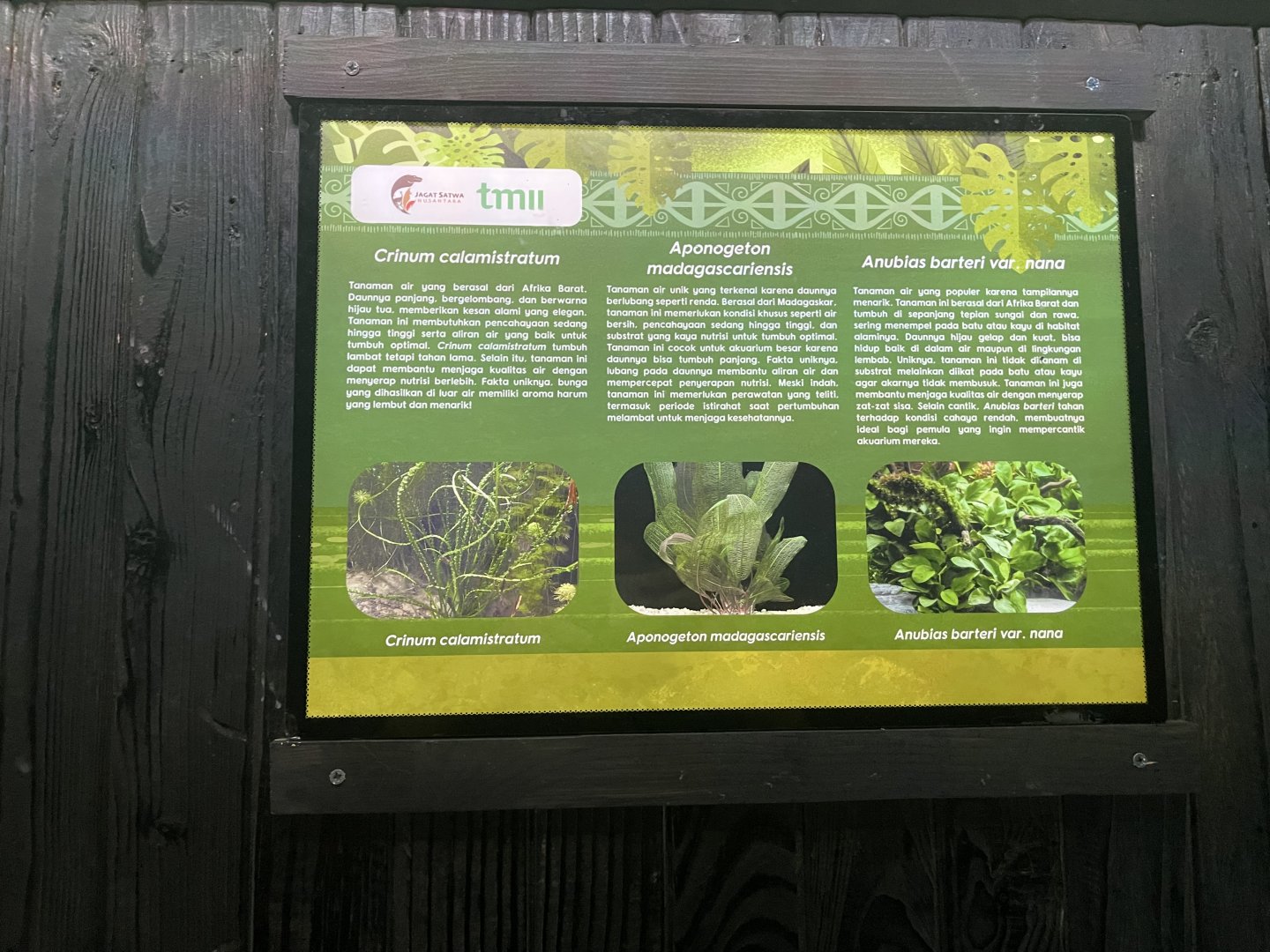 aquascape tank signage (5) - dunia air tawar