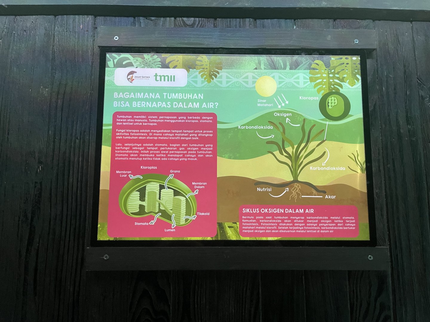 aquascape tank signage (6) - dunia air tawar