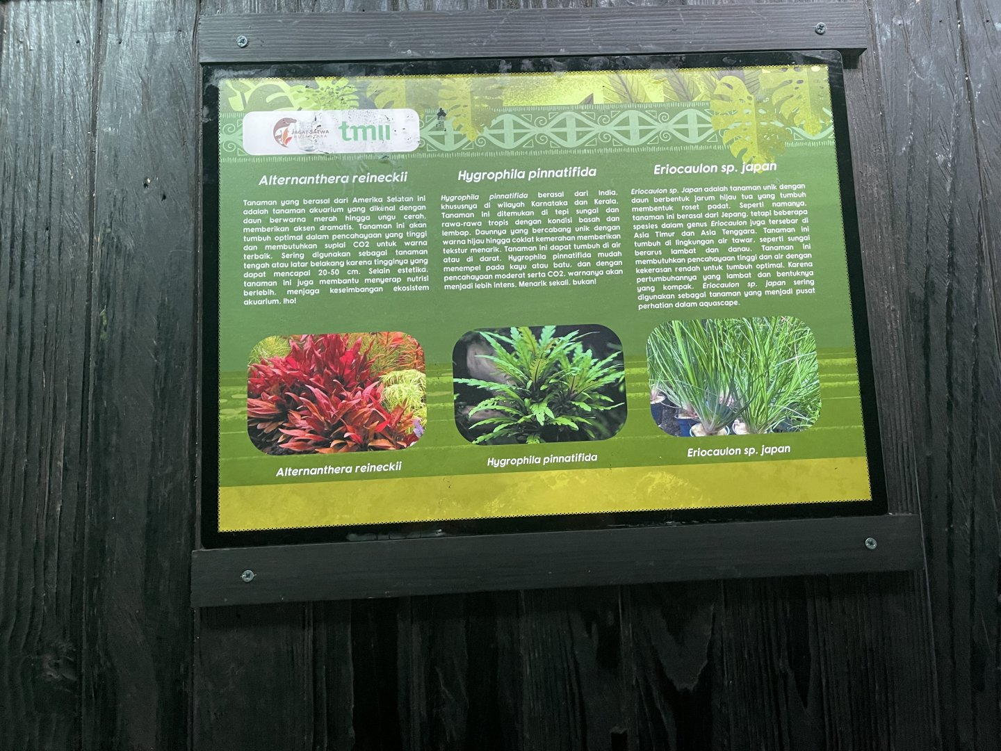 aquascape tank signage (7) - dunia air tawar