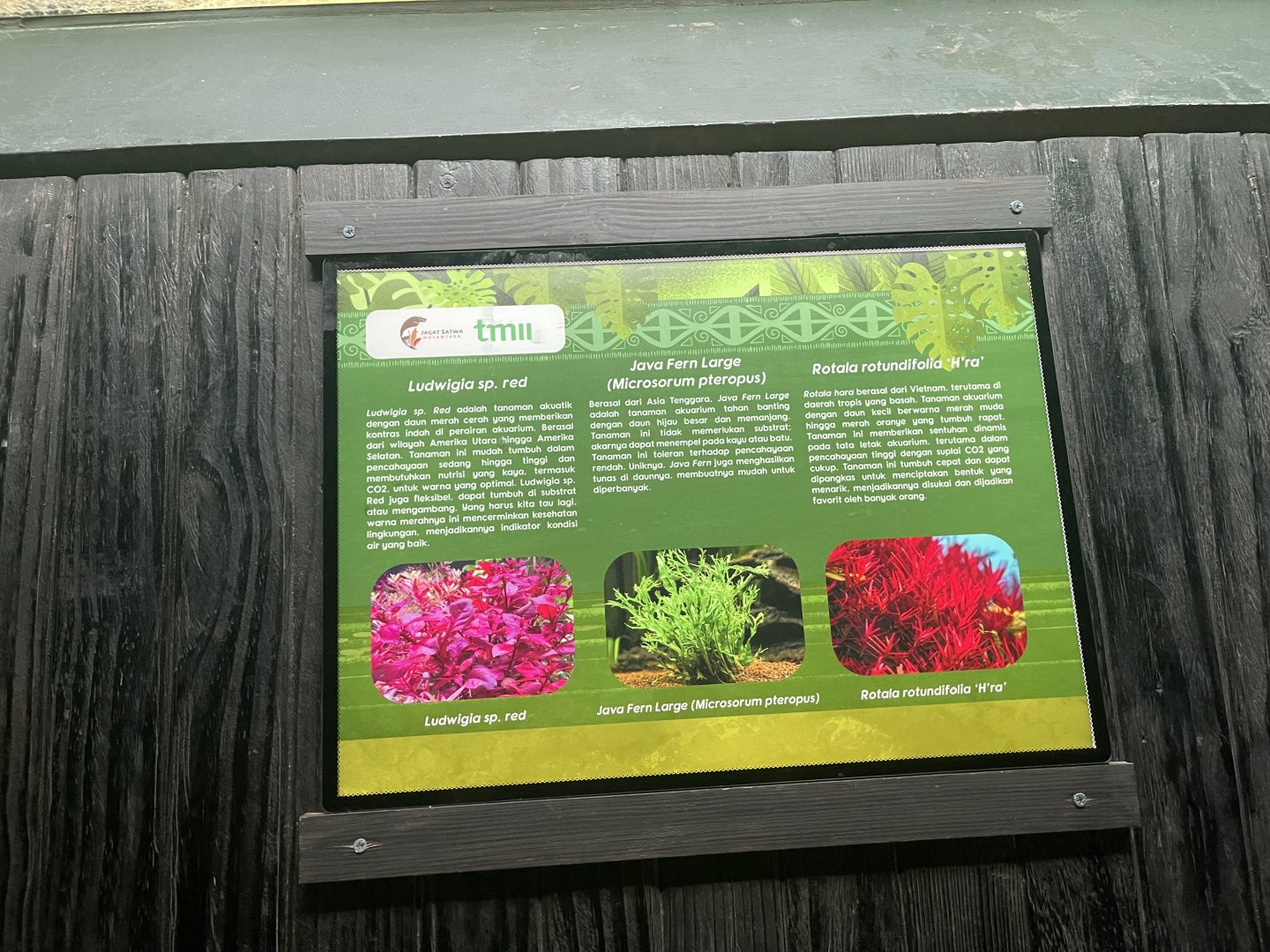 aquascape tank signage (8) - dunia air tawar