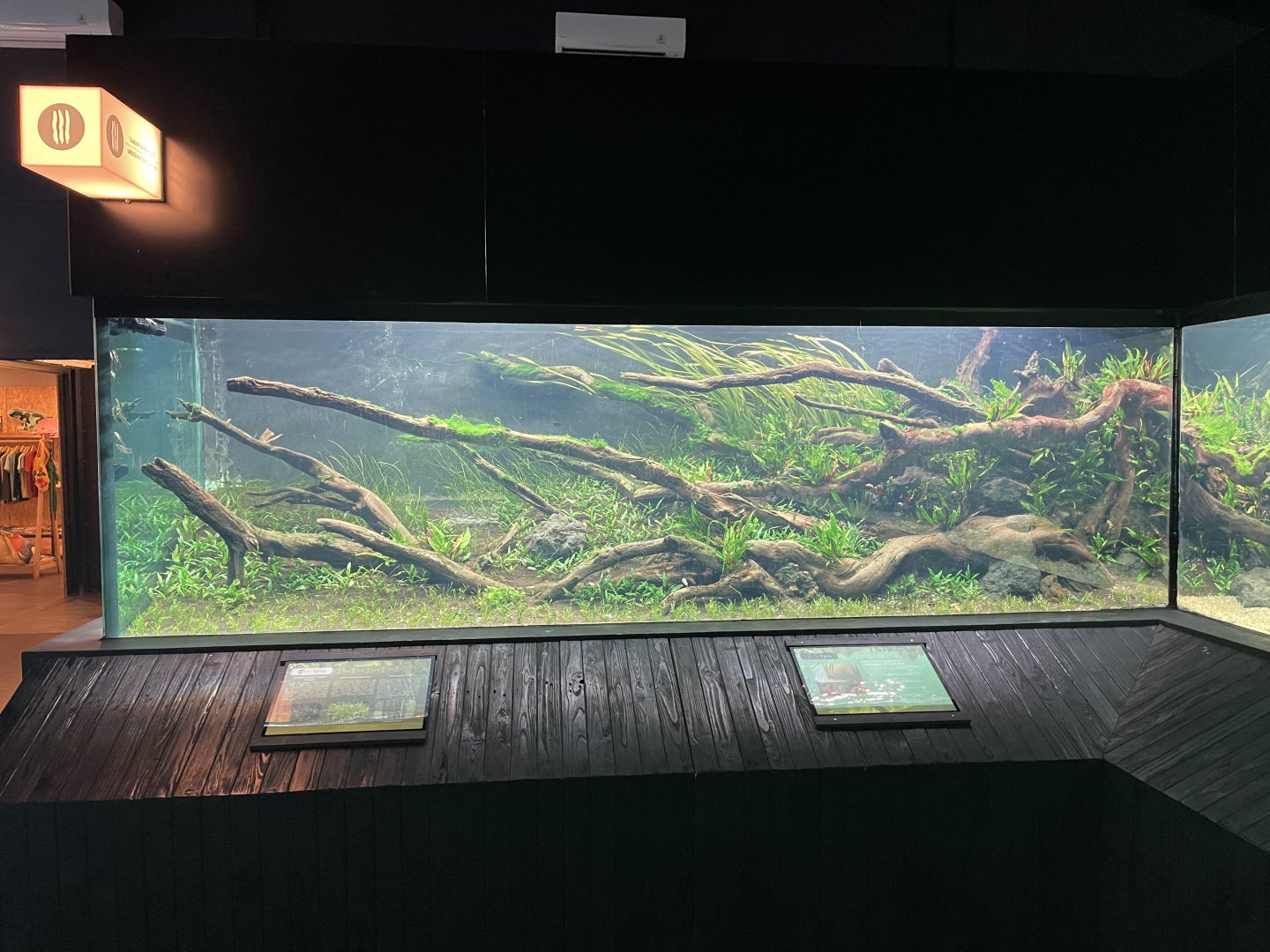 aquascape tank (view 1) - dunia air tawar