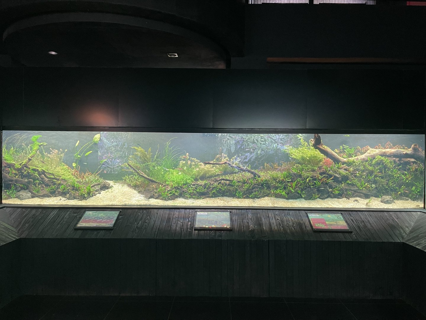 aquascape tank (view 2) - dunia air tawar