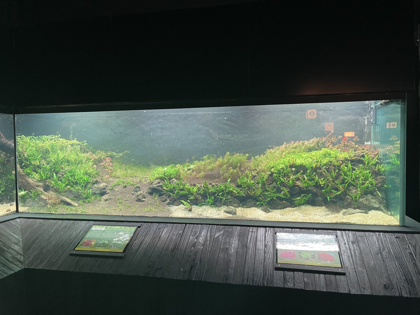 aquascape tank (view 3) - dunia air tawar