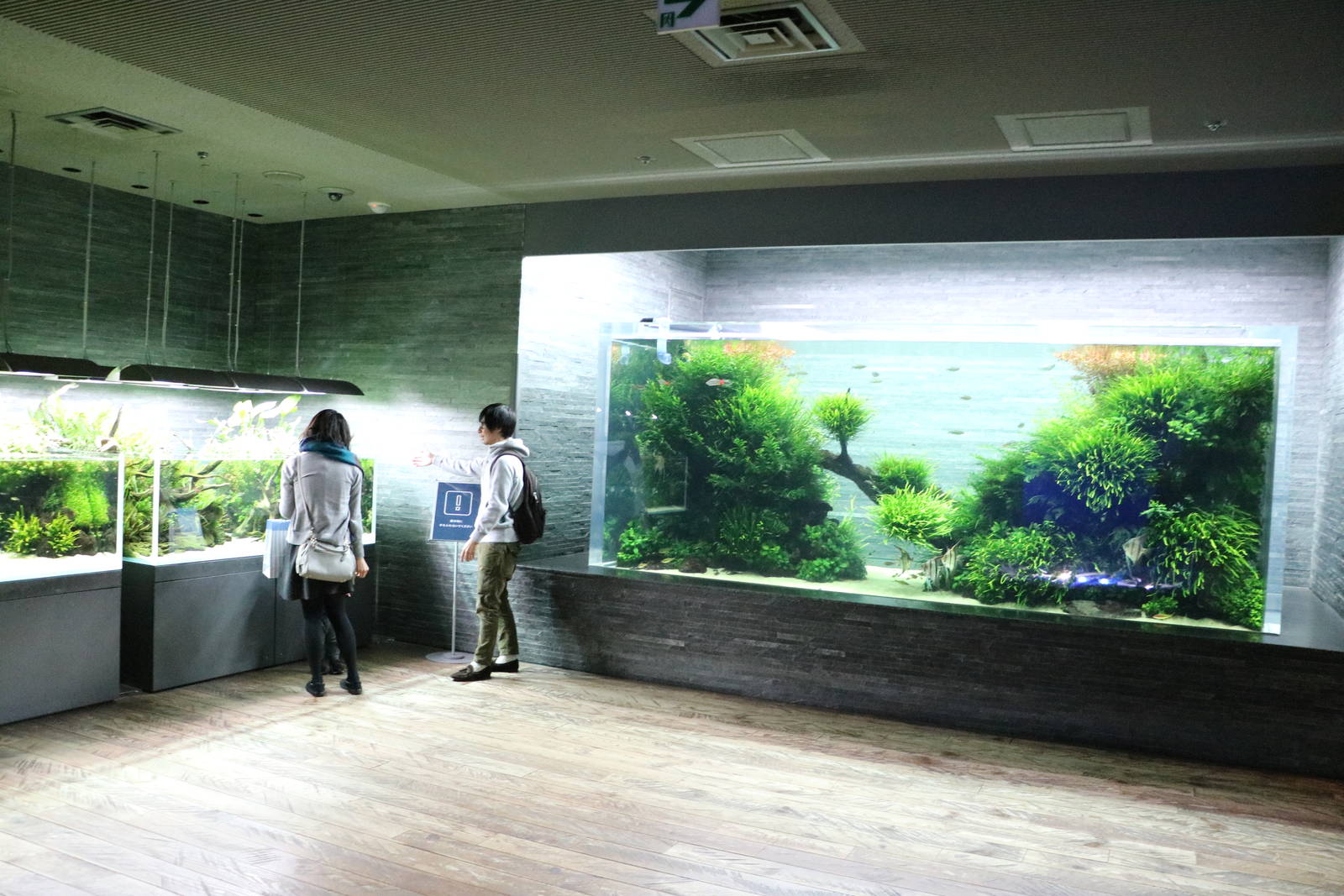 Aquascape tanks - Sumida Aquarium, February 2016