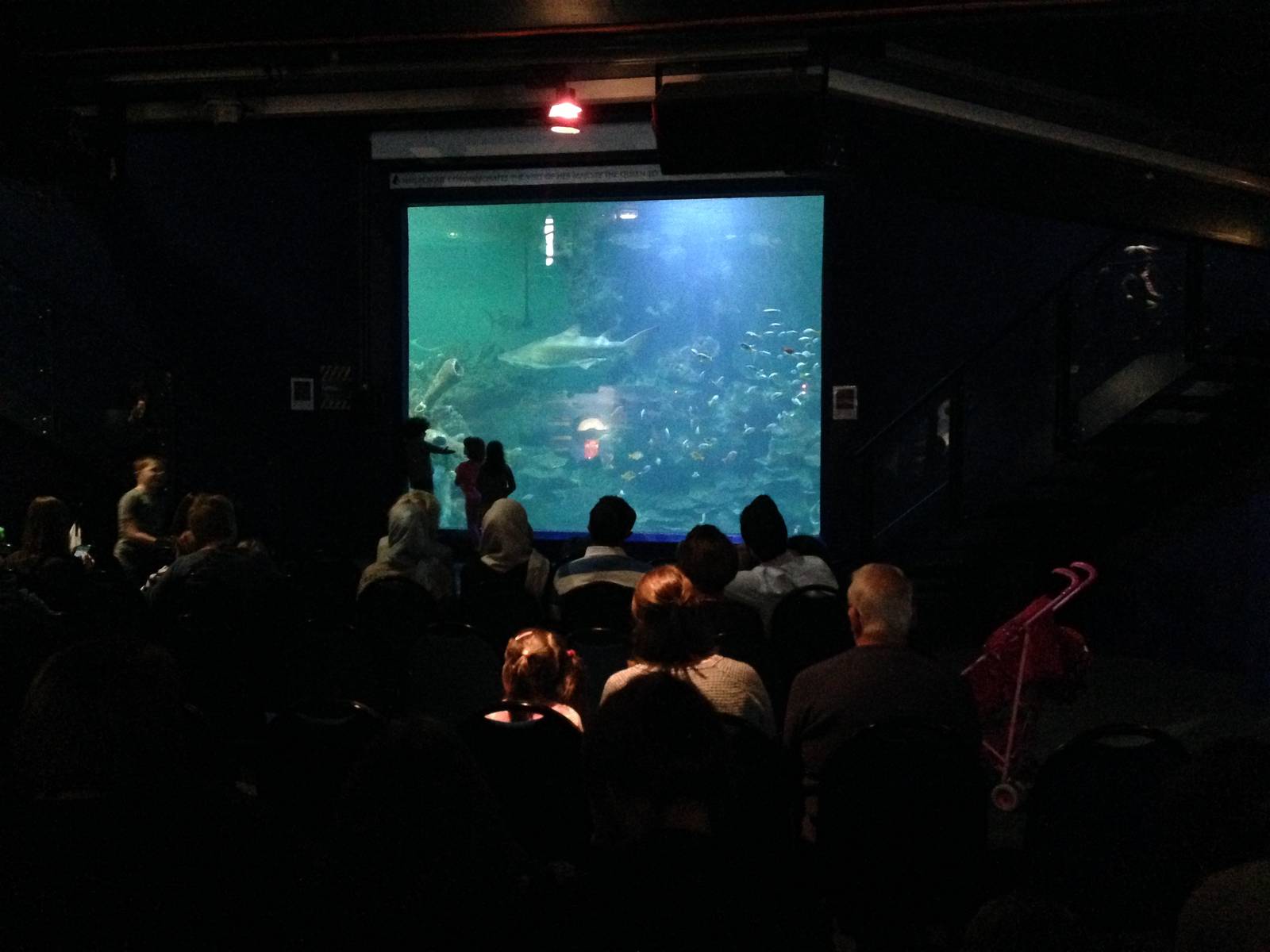 Aquatheatre at Blue Planet Aquarium - 05/10/2013