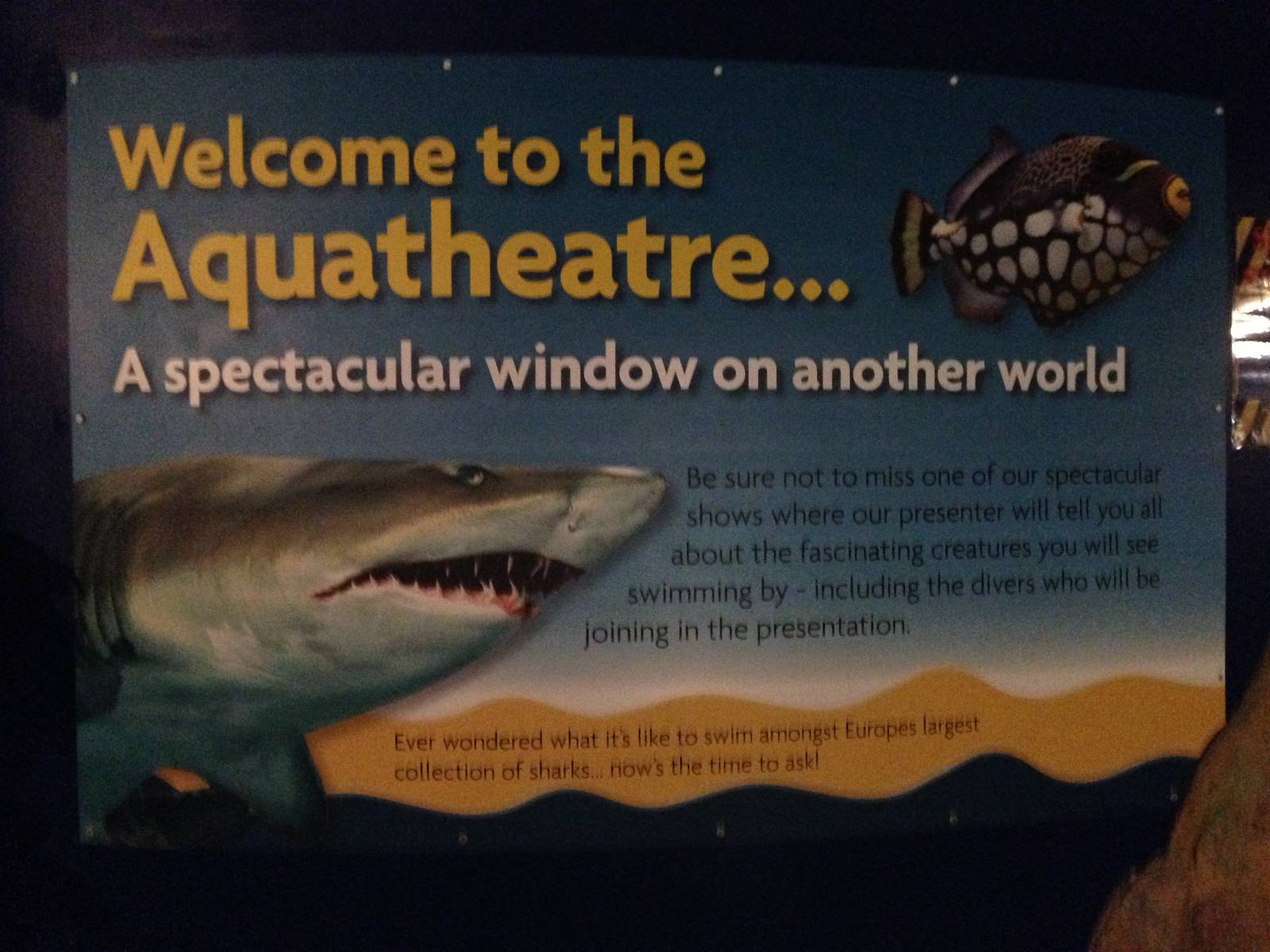 Aquatheatre Signage at Blue Planet Aquarium - 05/10/2013