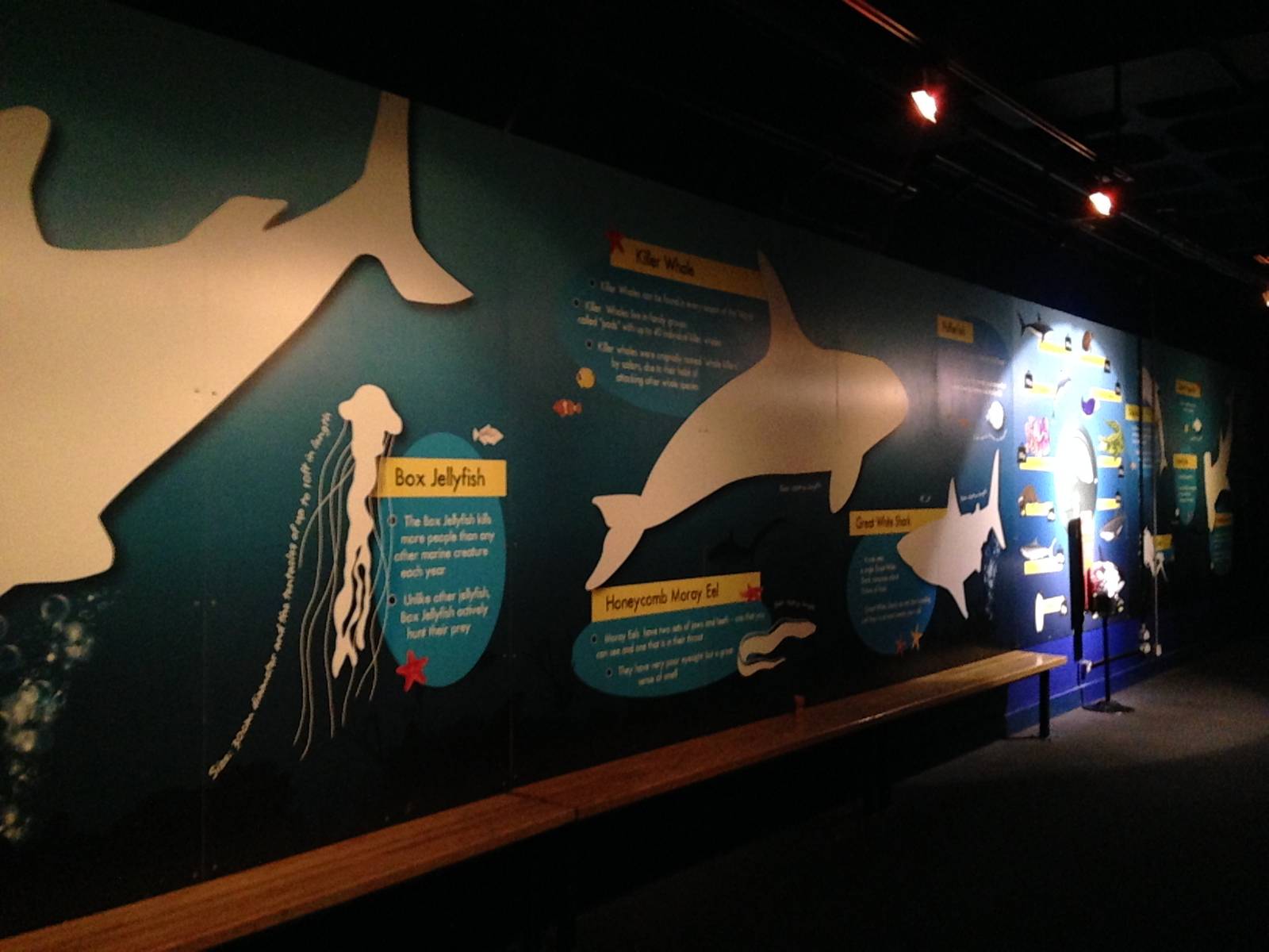 Aquatheatre Signage at Blue Planet Aquarium - 05/10/2013