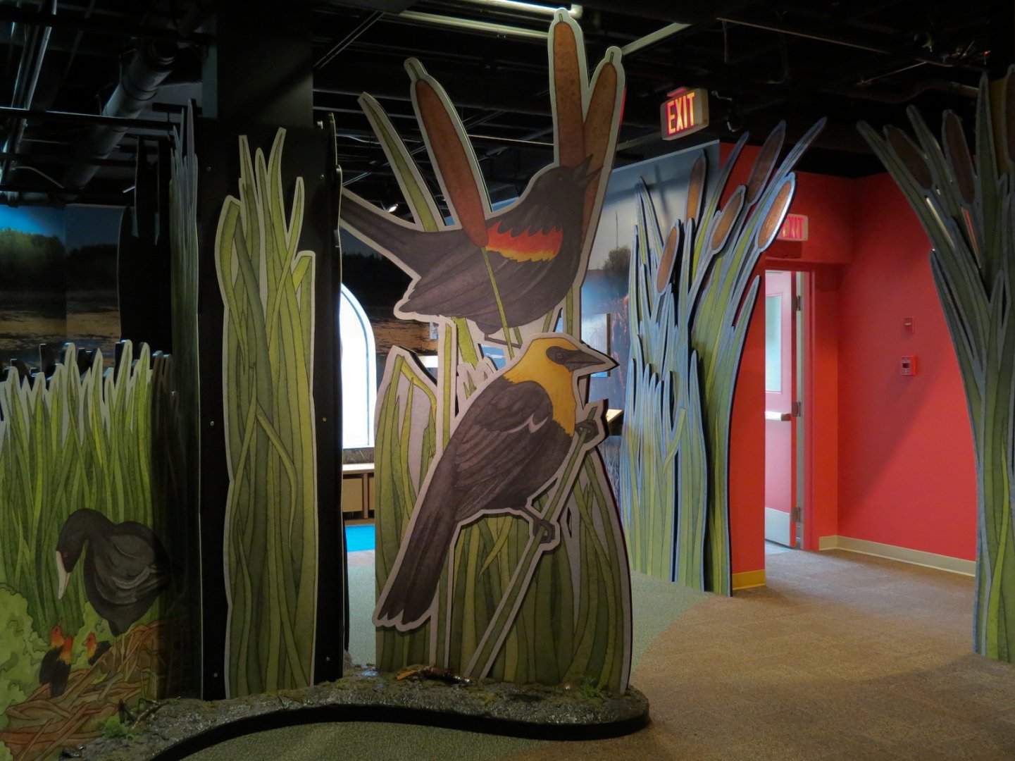 Aquatic Alberta Gallery