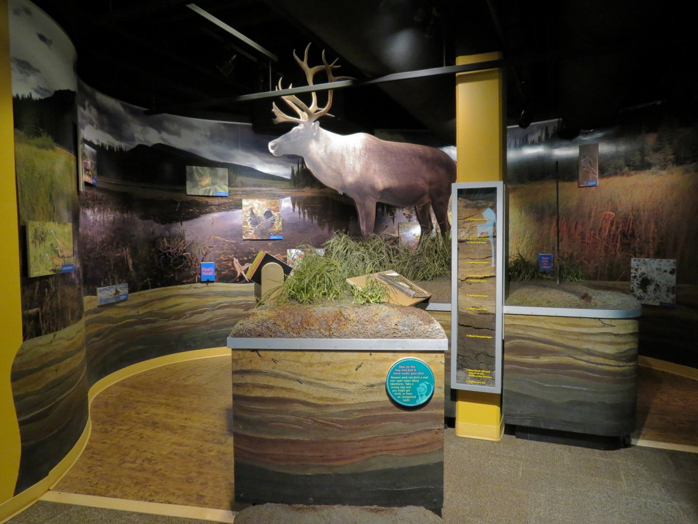Aquatic Alberta Gallery