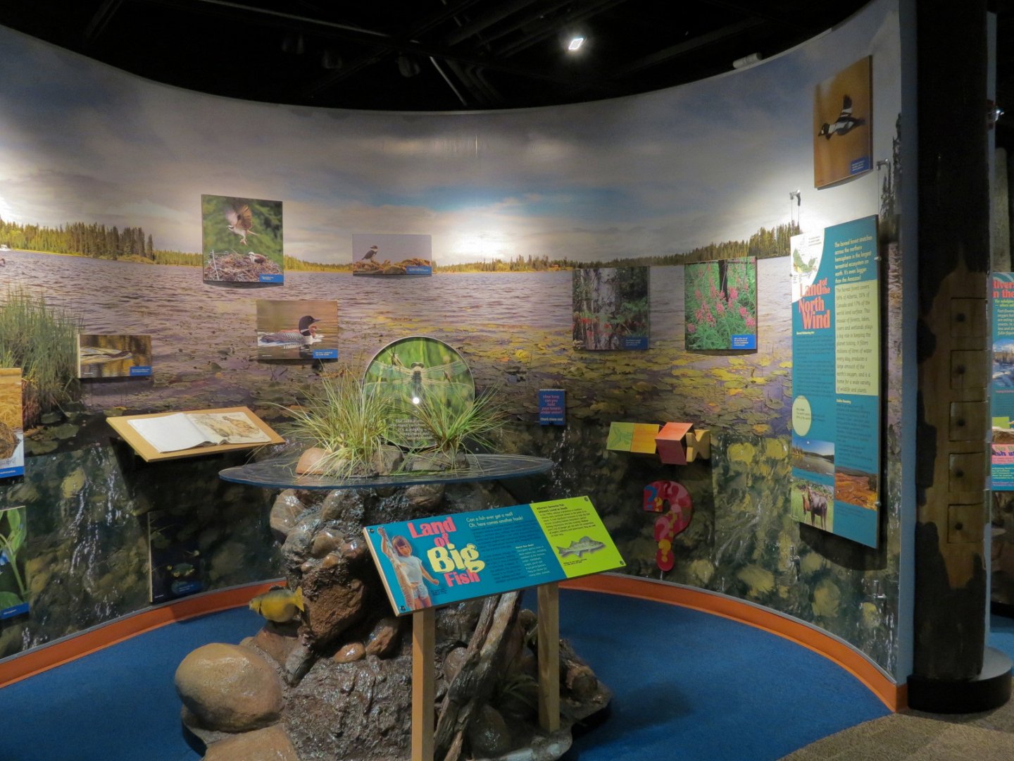 Aquatic Alberta Gallery
