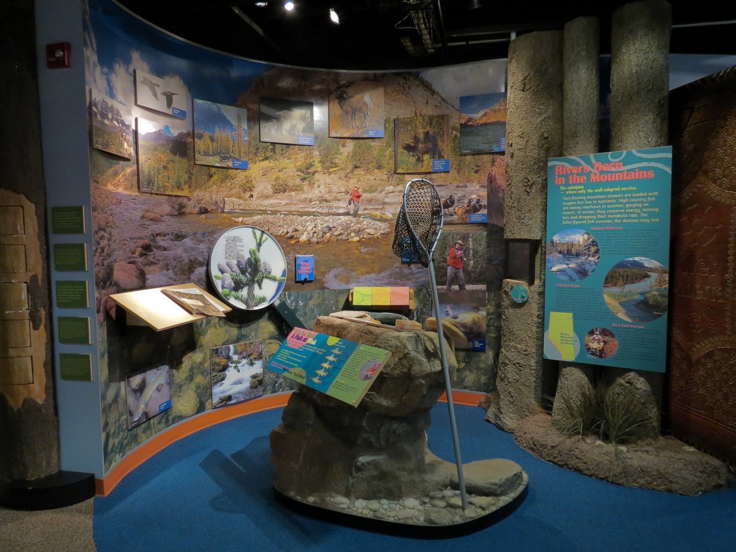 Aquatic Alberta Gallery