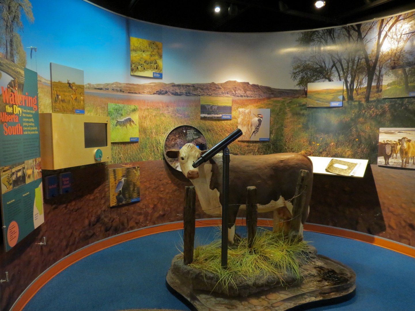 Aquatic Alberta Gallery