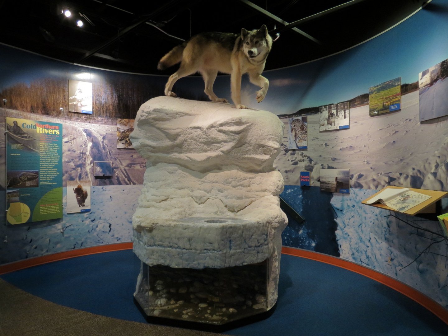 Aquatic Alberta Gallery