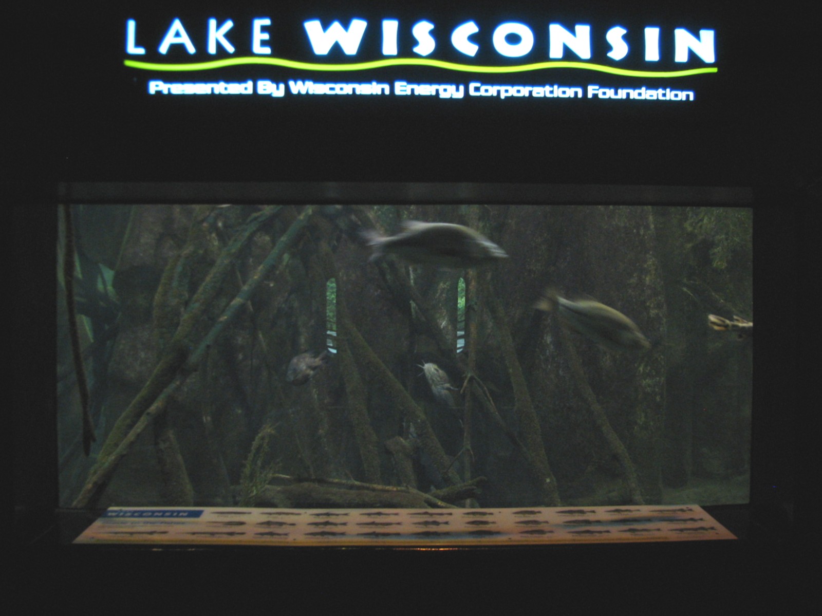 Aquatic and Reptile Center - Lake Wisconsin Exhibit