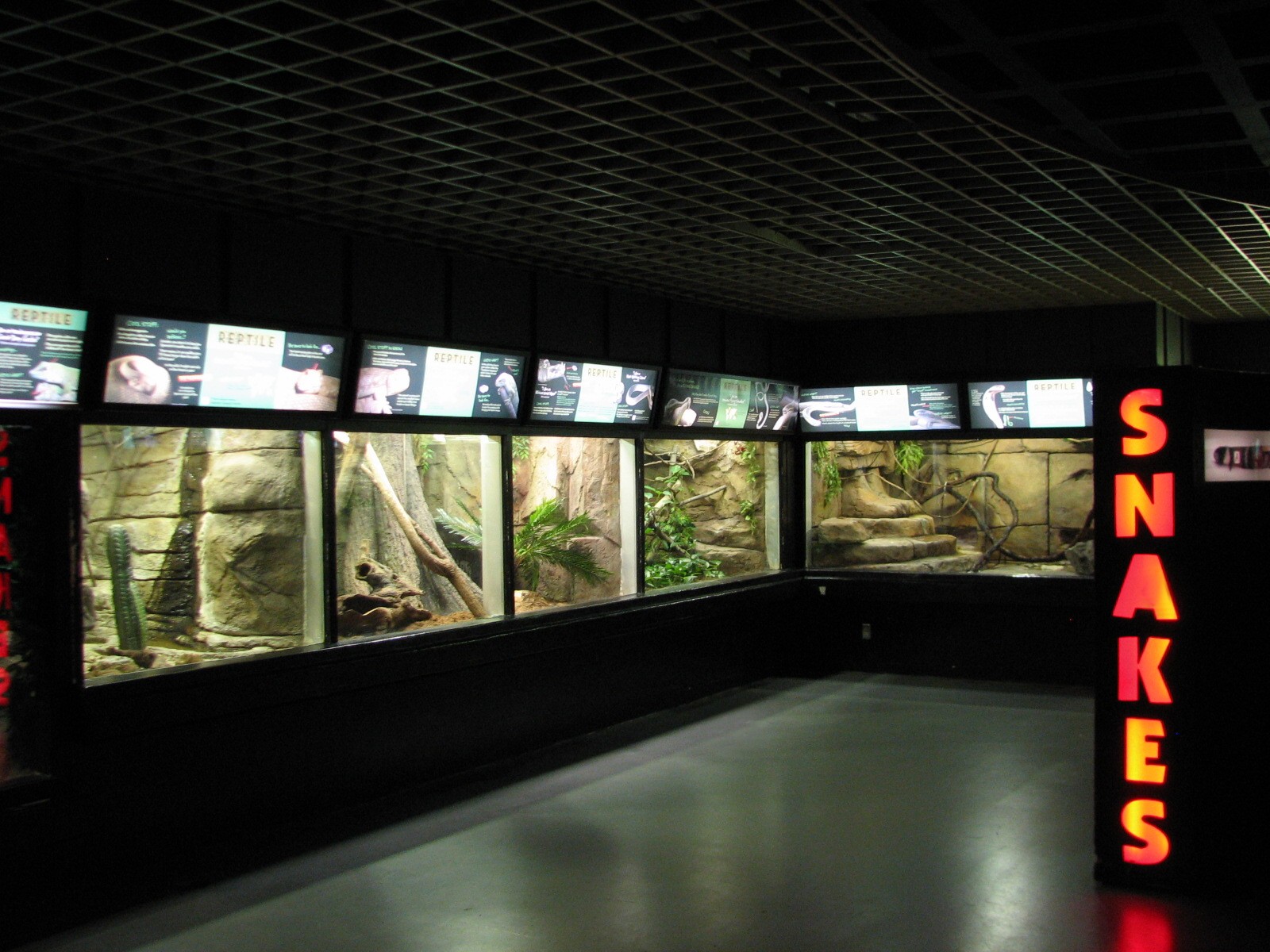 Aquatic and Reptile Center - Reptile Exhibits