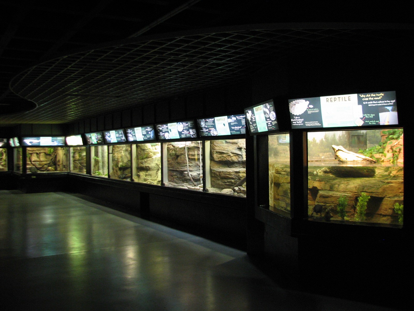 Aquatic and Reptile Center - Reptile Exhibits