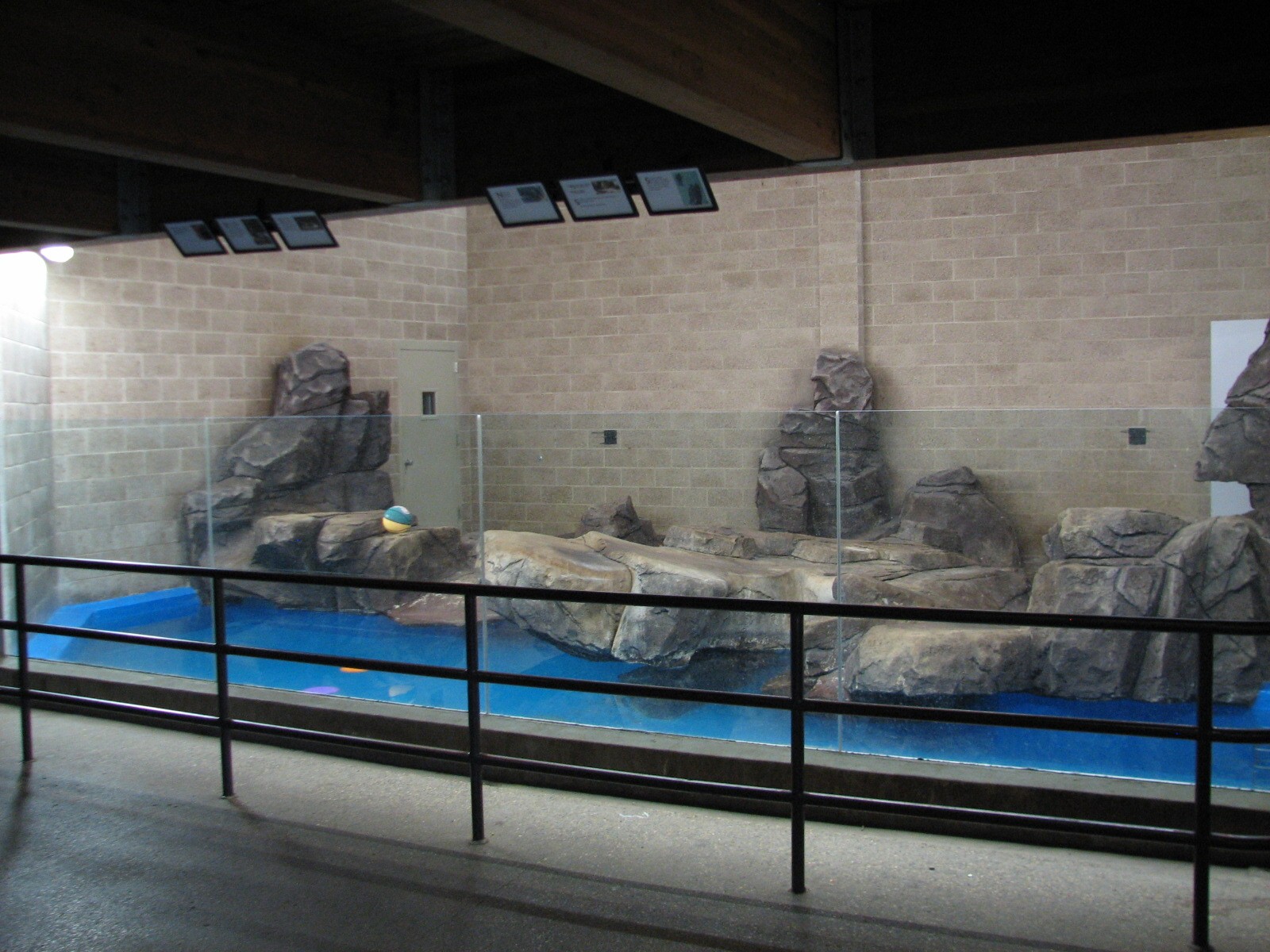 Aquatic Animals Building - California Sea Lion and Harbor Seal Exhibit