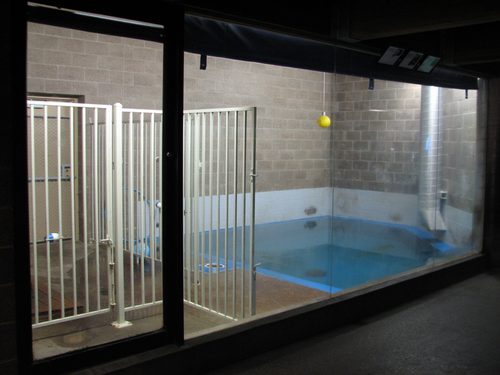 Aquatic Animals Building - California Sea Lion Exhibit for Sparky