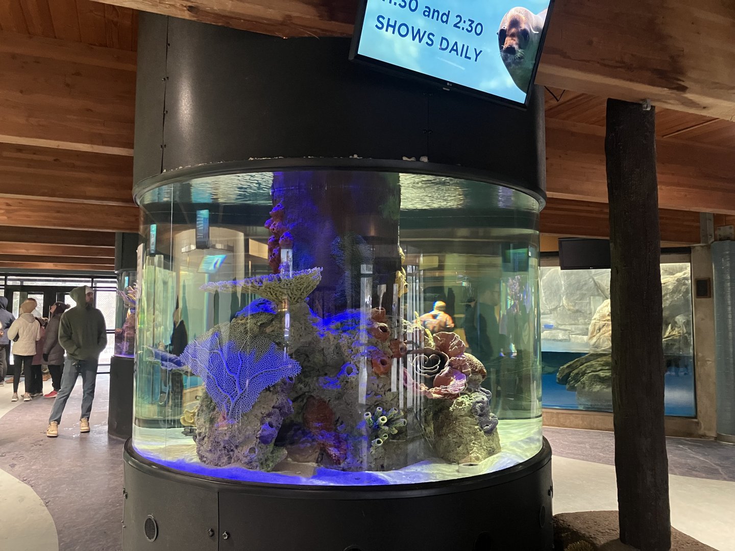 Aquatic Animals - Empty Tank