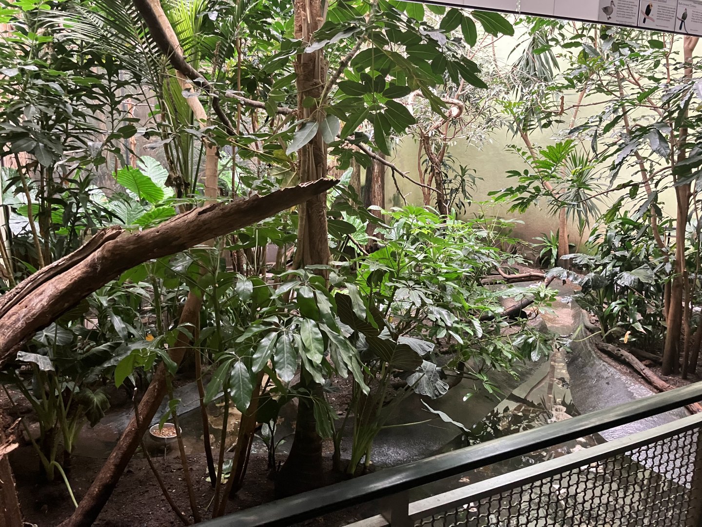 Aquatic Bird House - African Spoonbill Exhibit