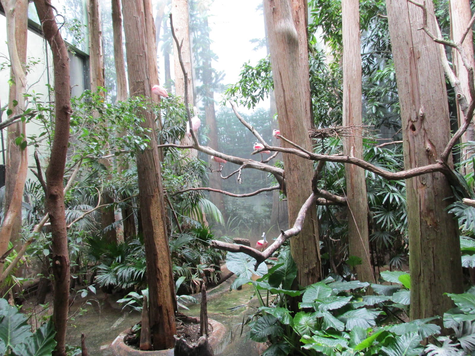 aquatic bird house bronx zoo