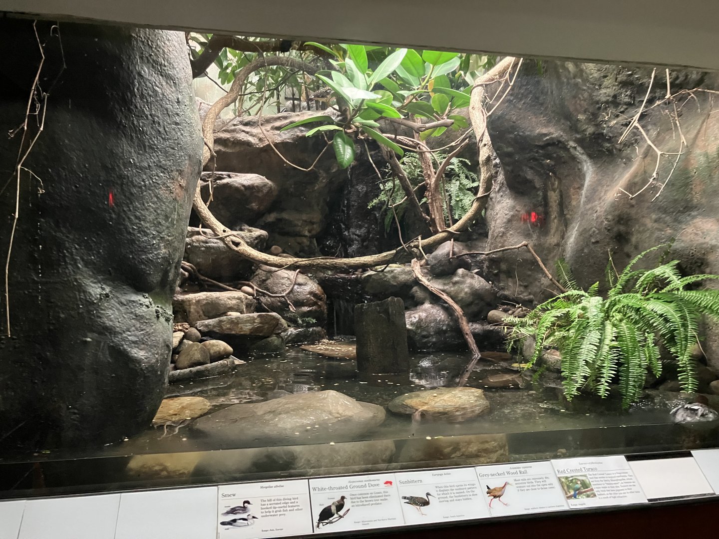 Aquatic Bird House - Canyon Exhibit