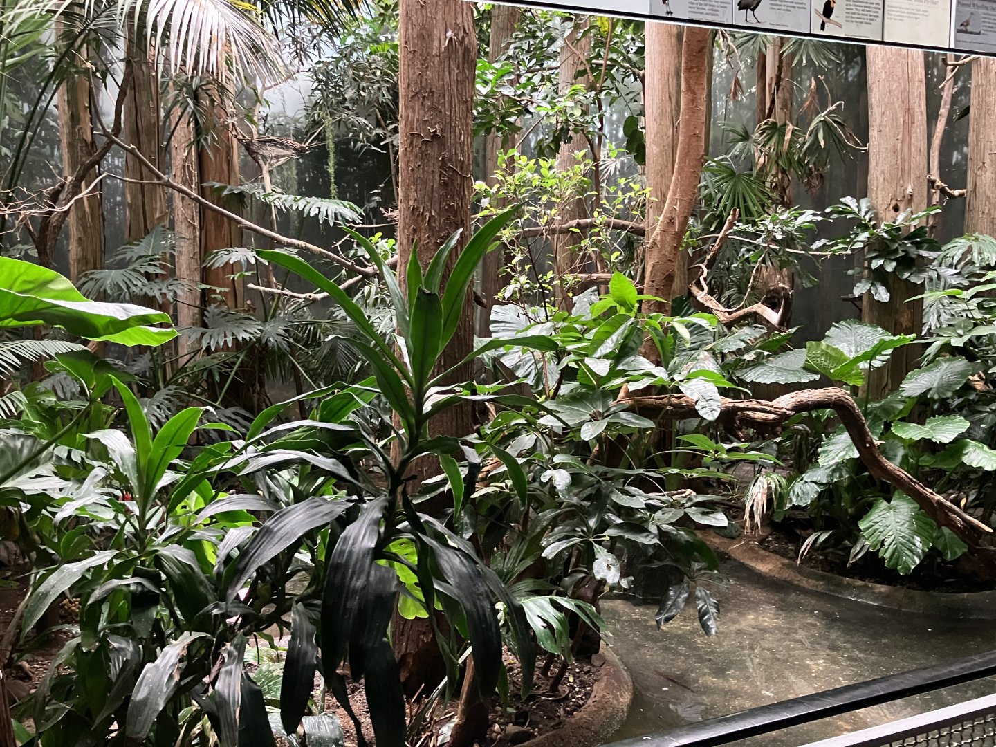 Aquatic Bird House - Painted Stork Exhibit Exhibit