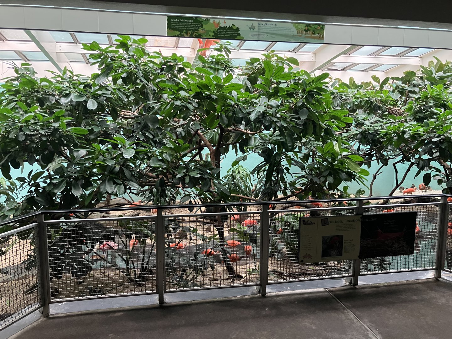 Aquatic Bird House - Scarlet Ibis Exhibit