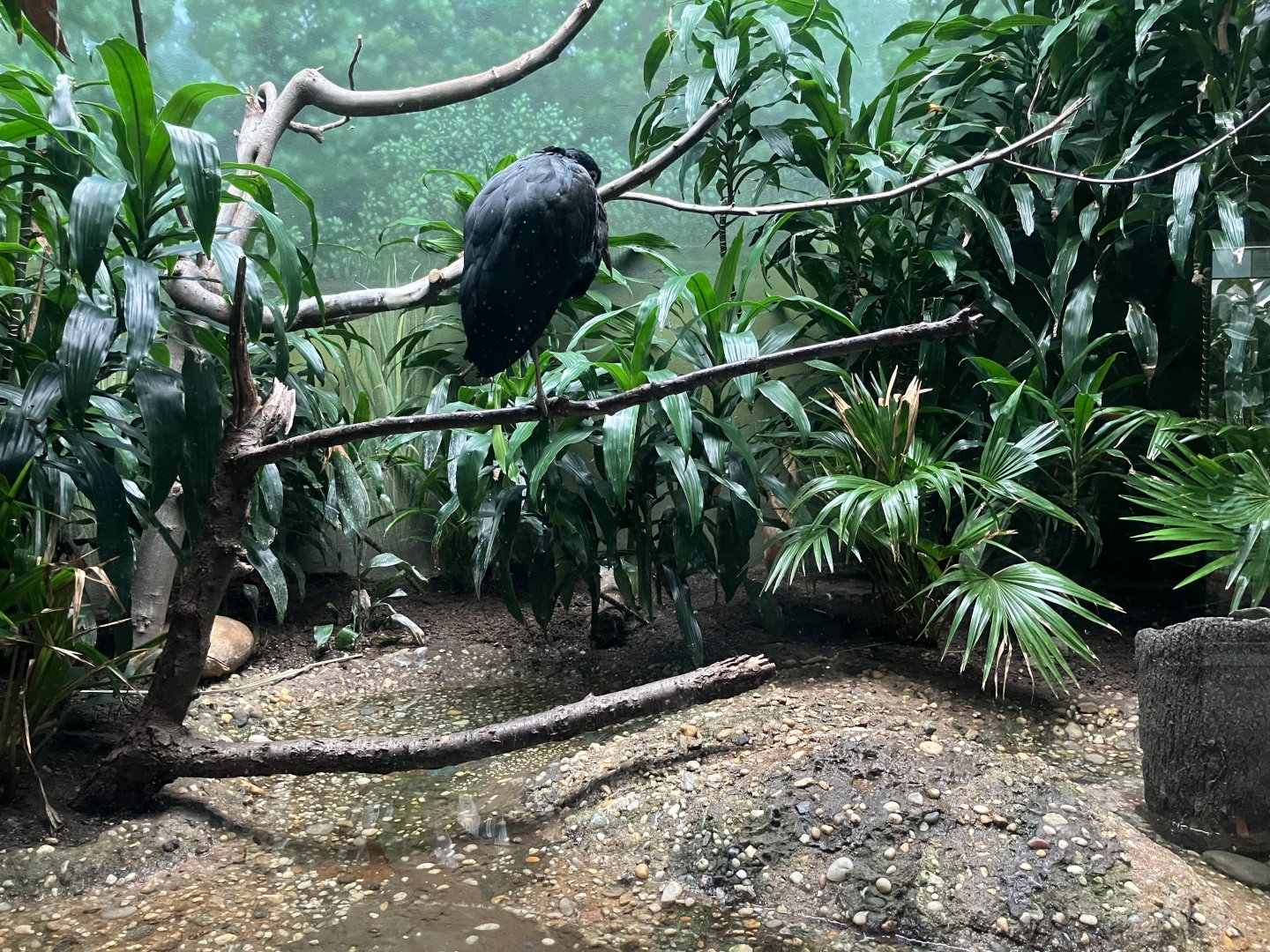 Aquatic Bird House - Storm’s Stork Exhibit