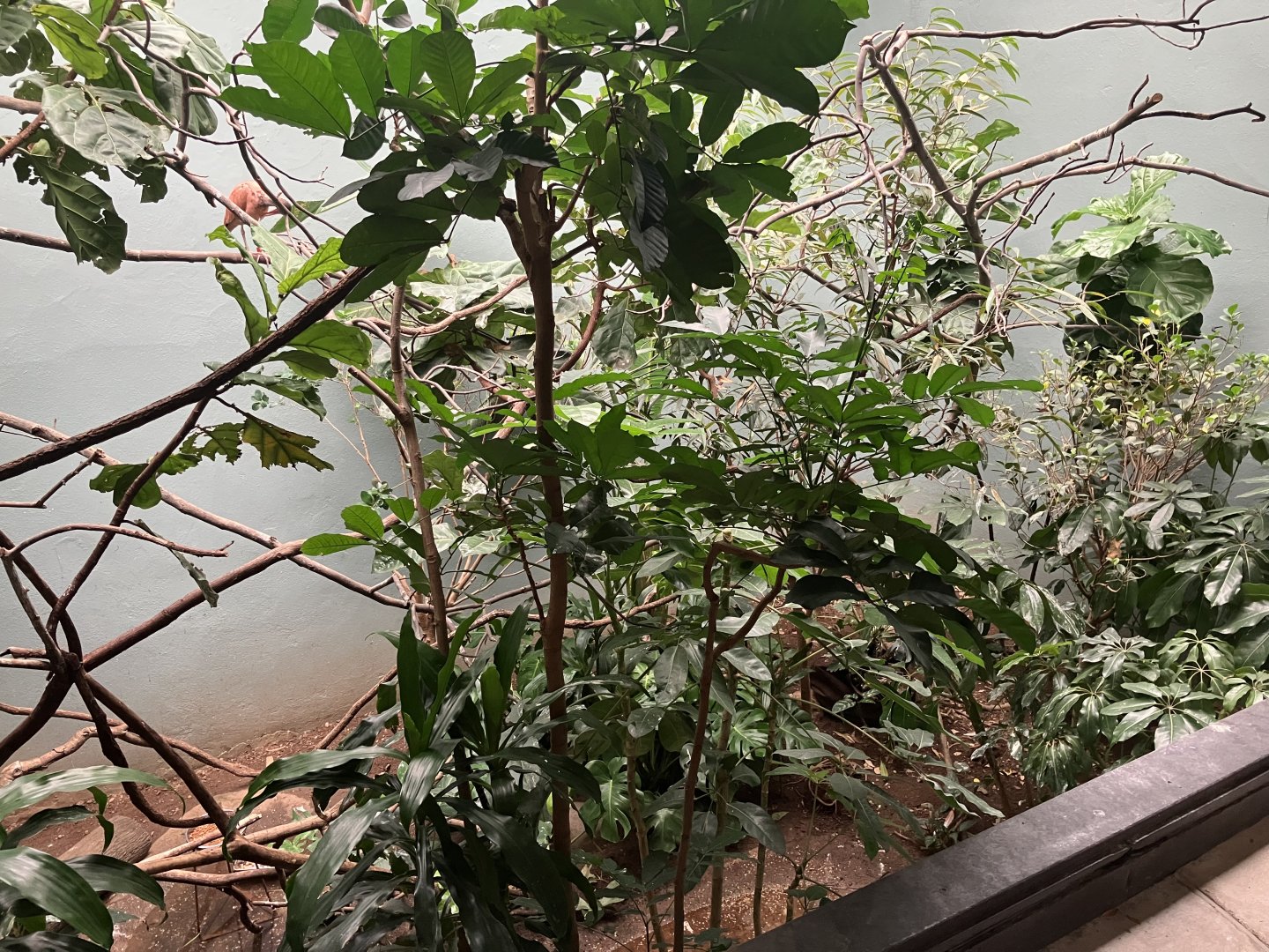 Aquatic Bird House - Waterfront High Rise Exhibit