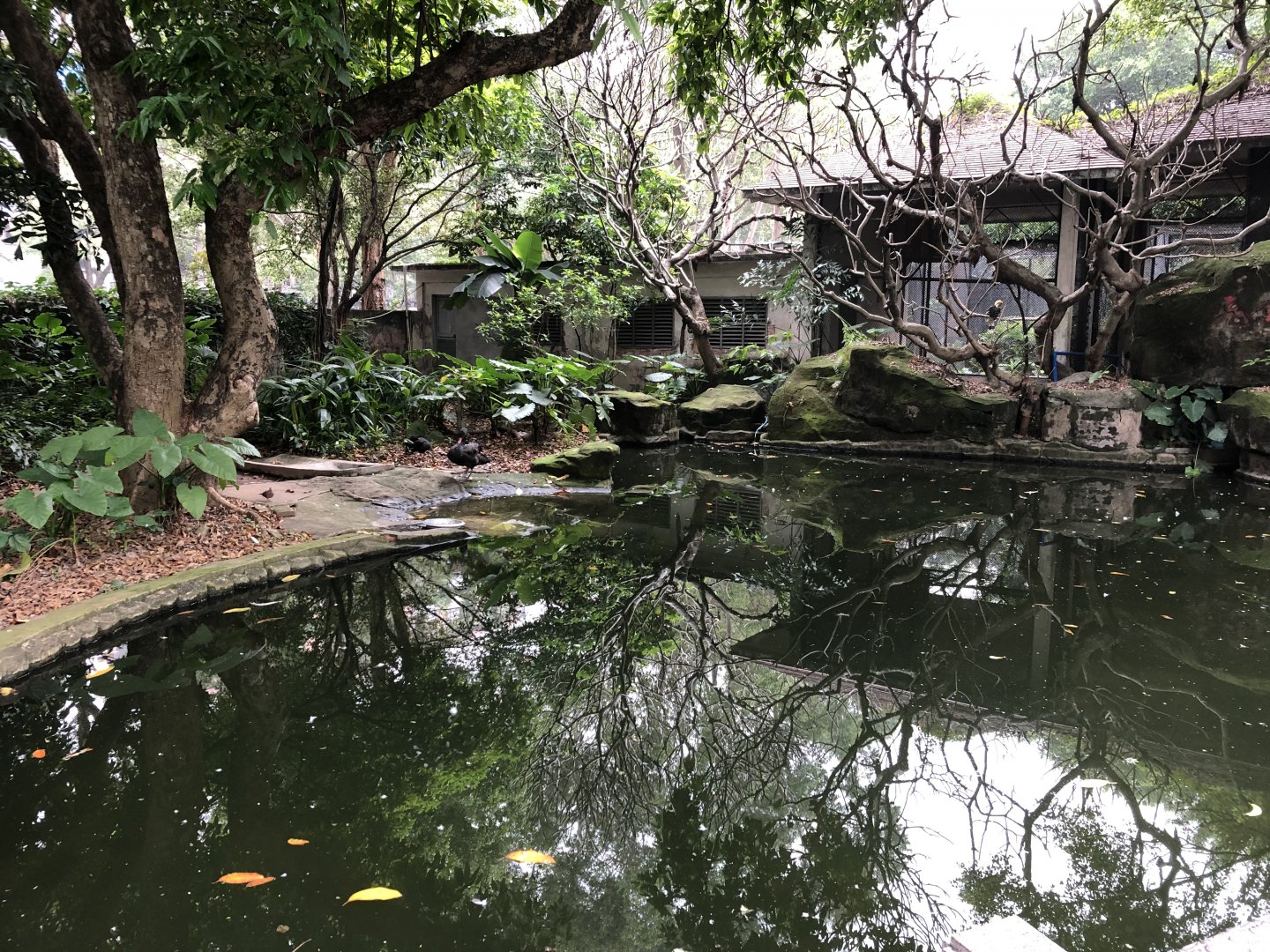 Aquatic Bird Walk-Through Aviary