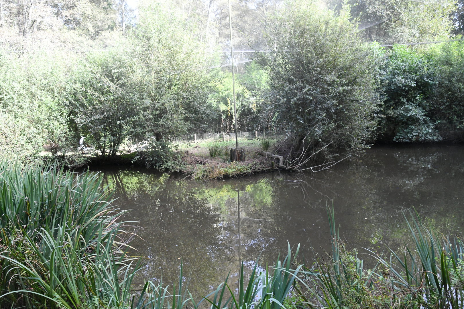 Aquatic Birds Aviary