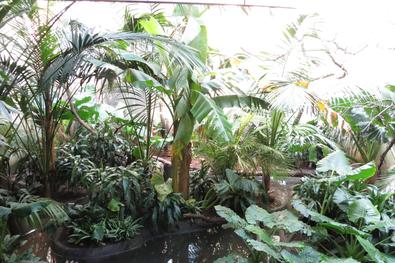 Aquatic Birds House 031215