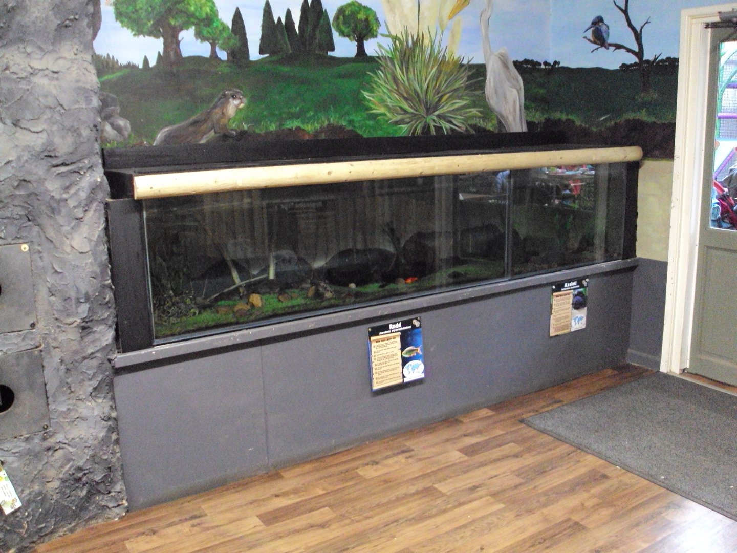 Aquatic exhibits 28/05/2019