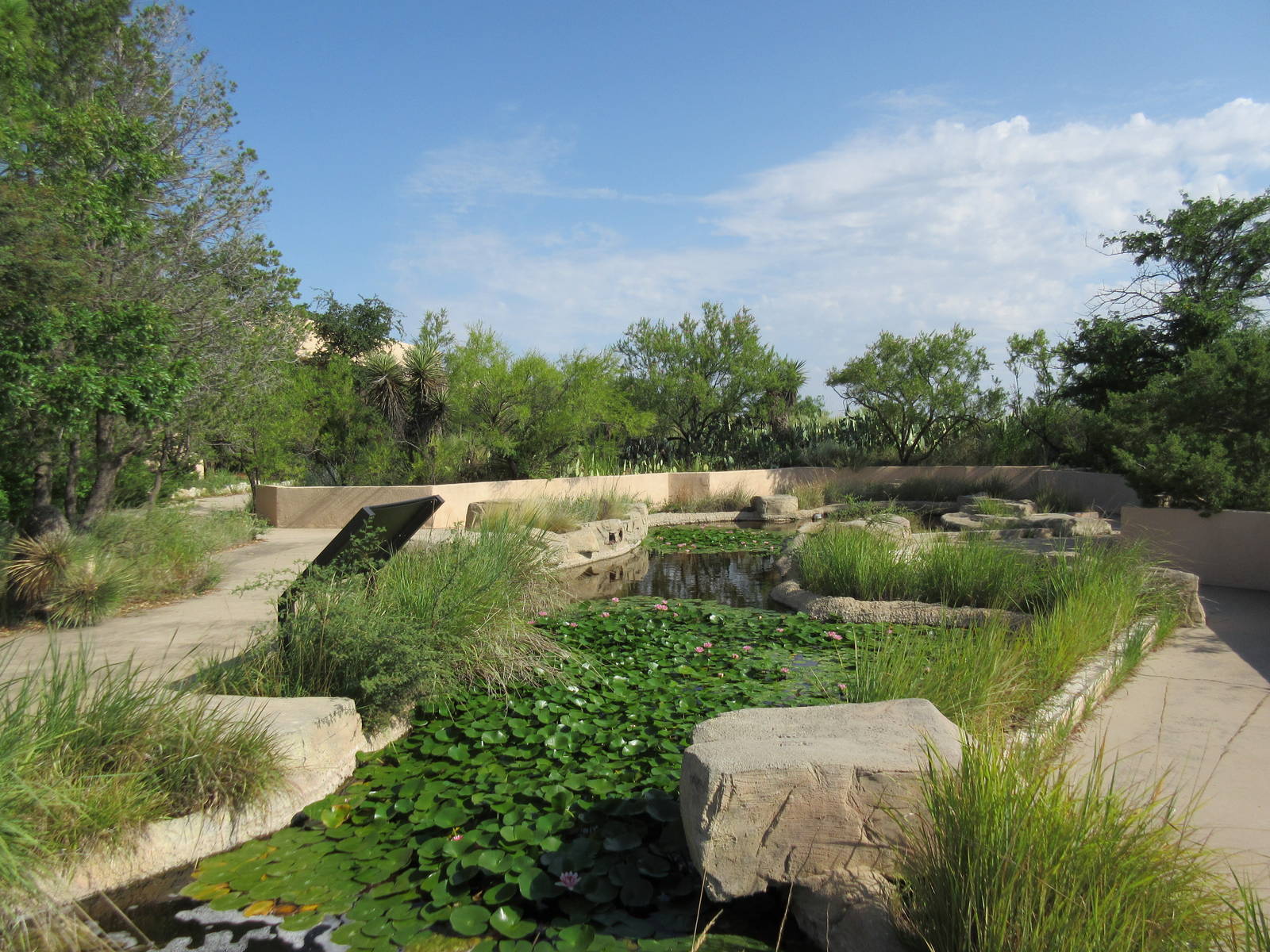Aquatic Habitat - Pond