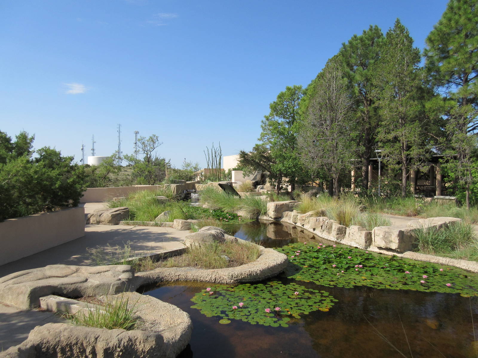 Aquatic Habitat - Pond