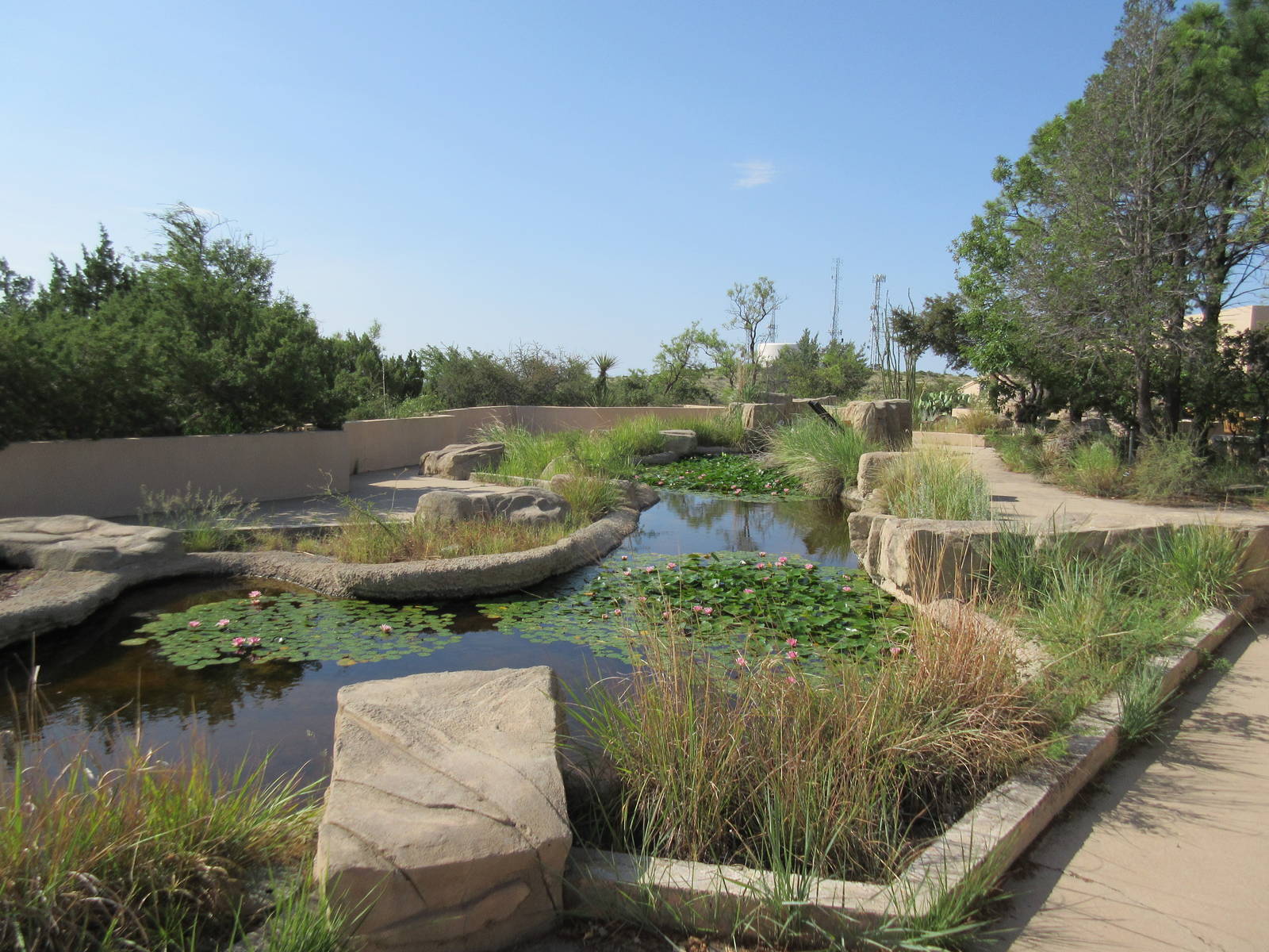 Aquatic Habitat - Pond