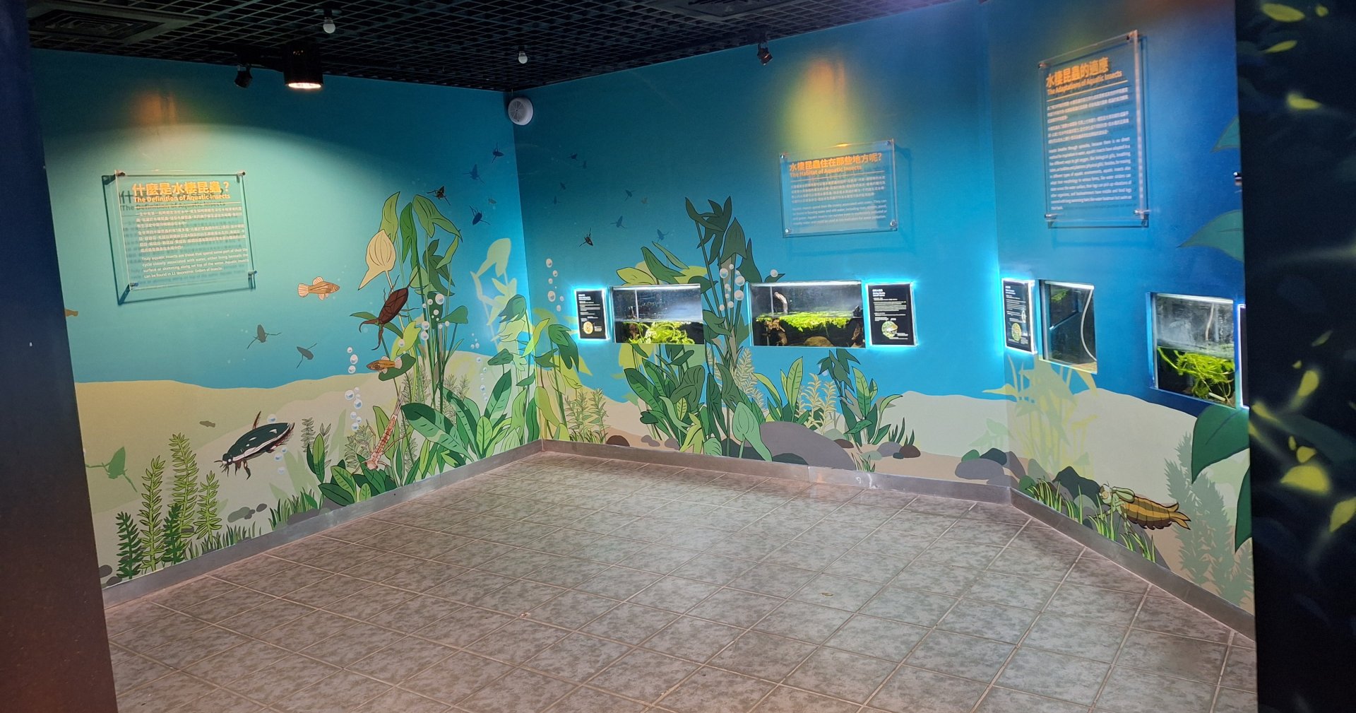 Aquatic Insects Room- Insectarium