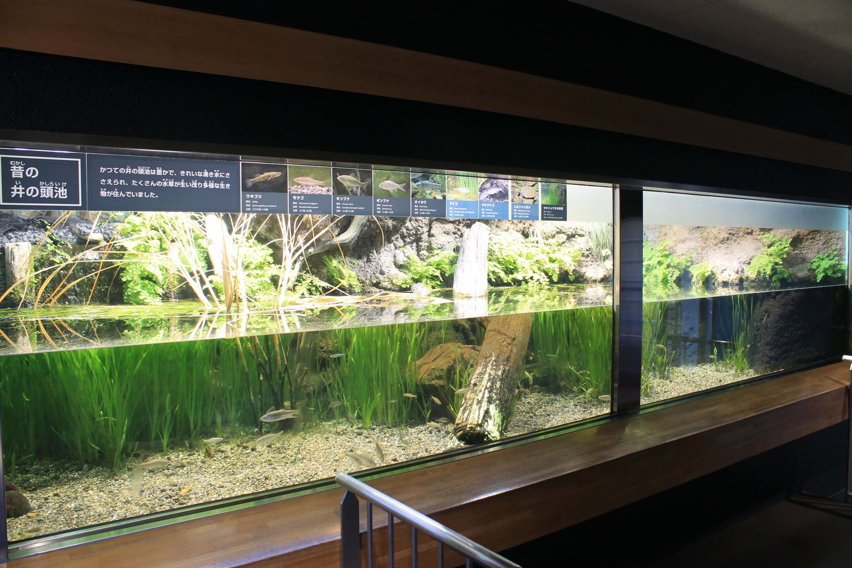 Aquatic Life Building