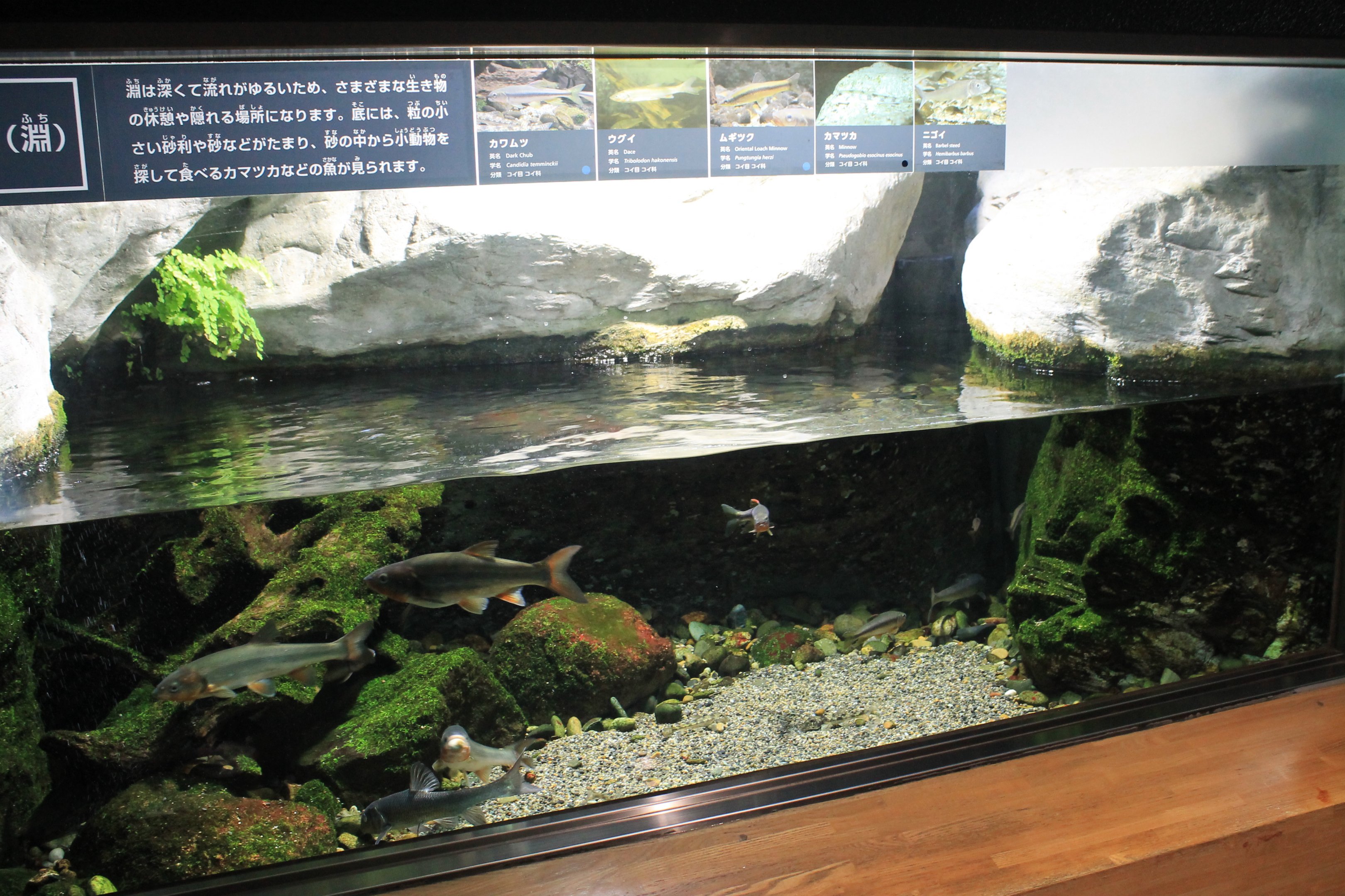 Aquatic Life Building