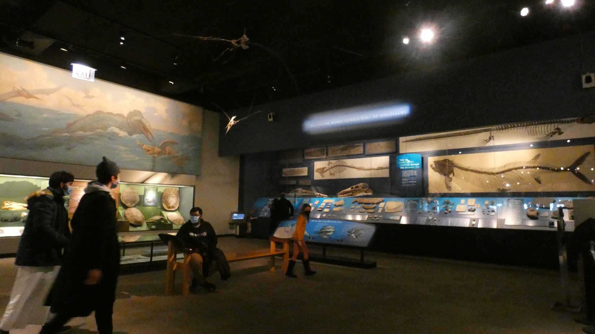 Aquatic Life of the Mesozoic, Evolving Planet - Feb. 2022