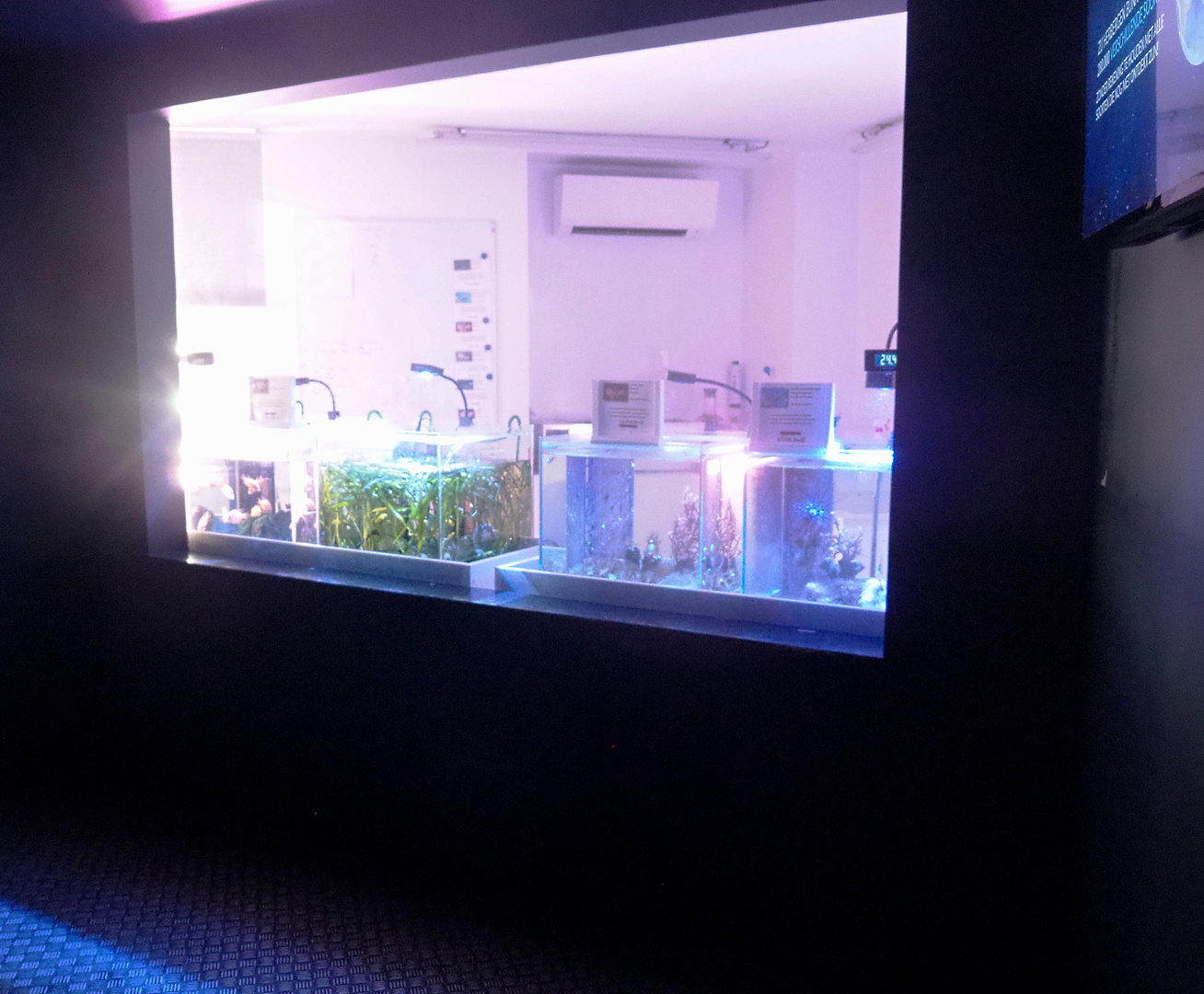 Aquatic nursery, 2022-09-14