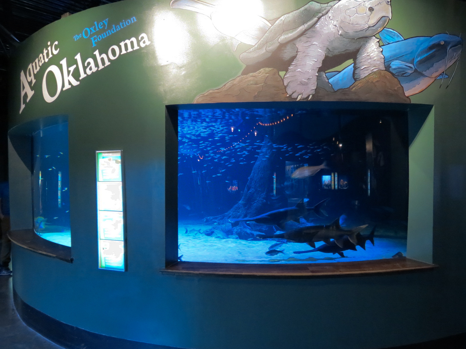Aquatic Oklahoma - Blue Sucker and Others Exhibit