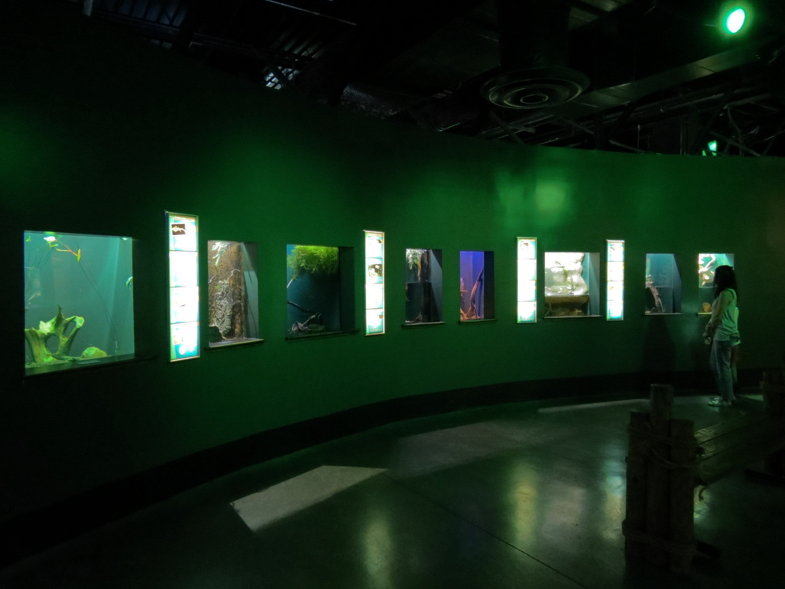 Aquatic Oklahoma - Exhibits